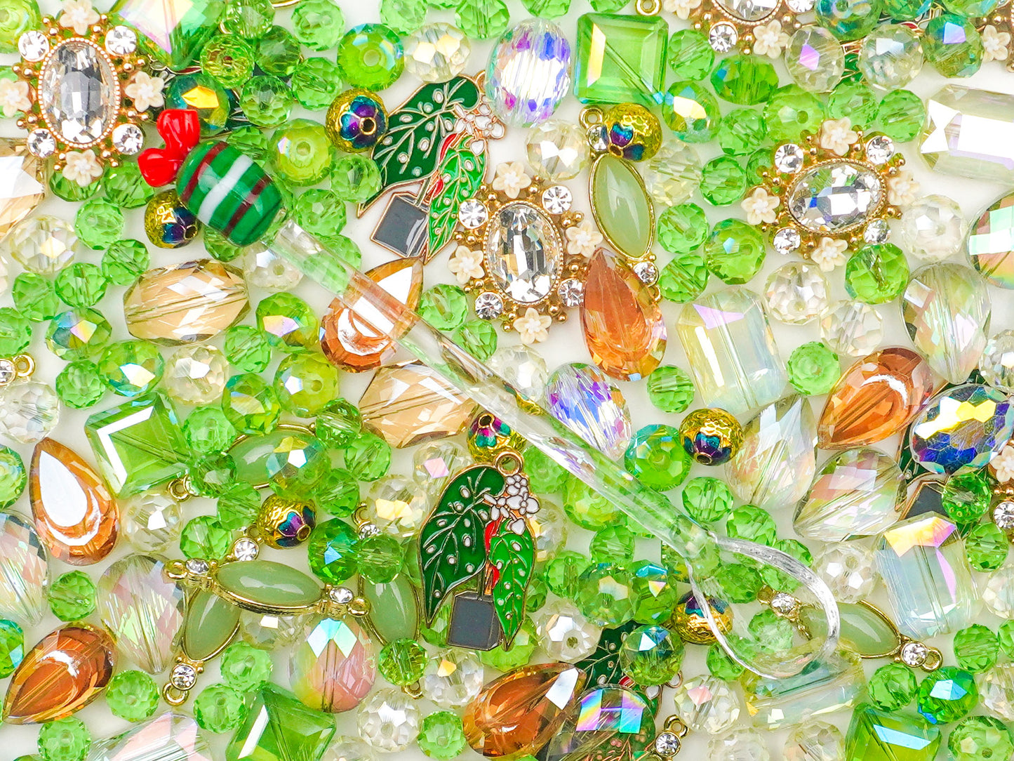 JP0363.モーニングリーフ（ジャイアント）